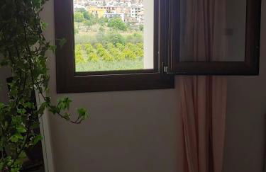 Il Primo Fiore - Foto 38