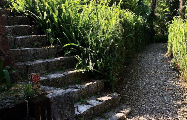 Ideal Para Familia Pequena O Grupo De Tres Amigos - Foto 13