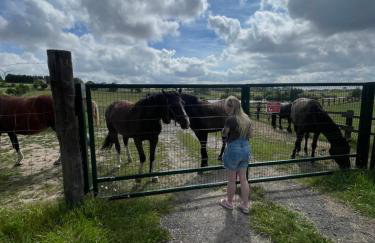 Winnica Bursztynowa - Foto 36