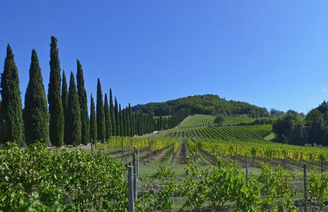 Paradiso Villas - Foto 41