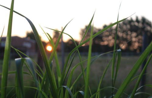 Mensteder Utkiek - Foto 31