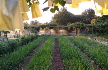 Las Huertas del Abrilongo - Foto 13