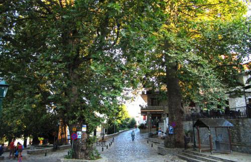 Traditional Stone House in pelion - Foto 36