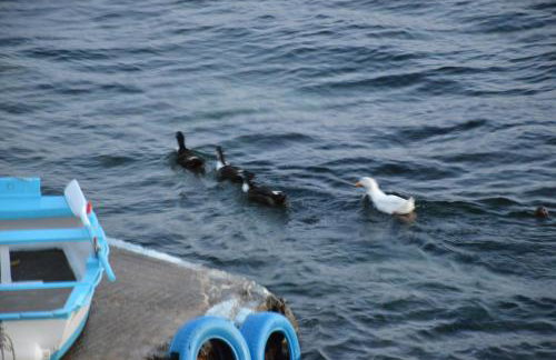 Sunset Klima Boathouse - Foto 6