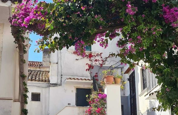 Joivy Dimore Rodiane - U Vucc'l - Foto 23