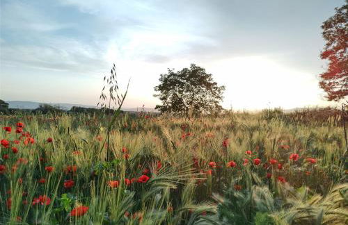 Agriturismo La Dependance - Foto 44