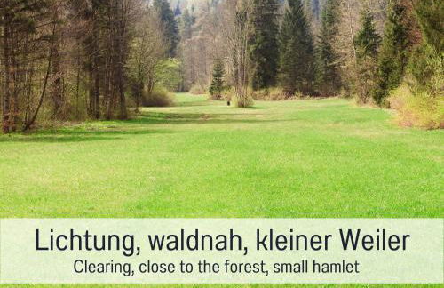 Chalet Salzenweiler eingezäunt - Sauna - Kamin - Wlan - Photo 8