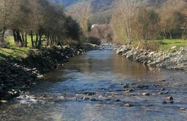 Lugar da Borralheira - Foto 43