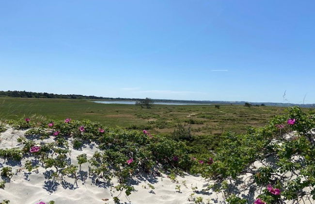 "Tinja" - 900m from the sea - Foto 19