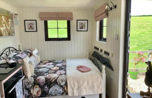 Little Bo Peep - Foto 36