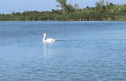 casa di Eva - Photo 15