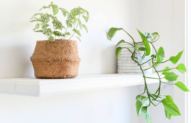 Your Ocean Oasis Ocean Country Views Spa Pet Friendly Fireplace - Foto 28