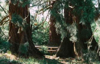 Le Grand Petit Prince - Domaine de Charme - Jacuzzis privatifs - Foto 6