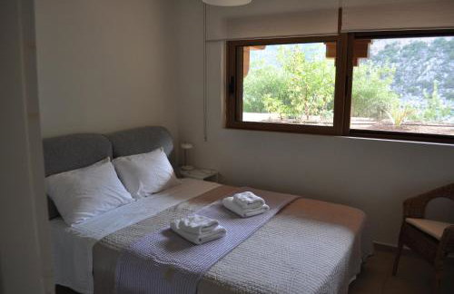 Into The Blue Apartment - Photo 9