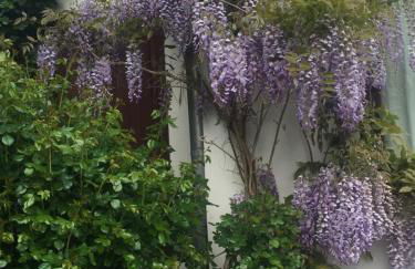 Ferienzimmer am See - Foto 17