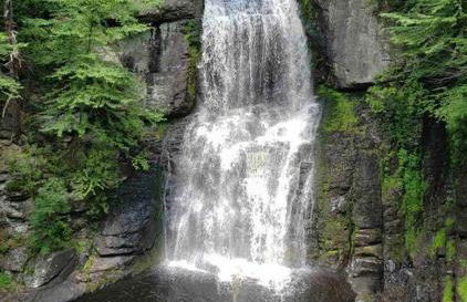 Tranquil Getaway in the Pocono Mountains - Foto 24