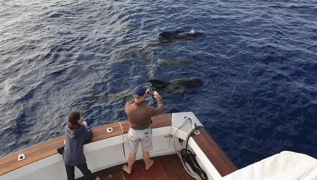 Taking photos of the animals we see