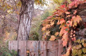 La Casita con piscina privada de tres dormitorios - Photo 58