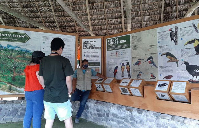 Excursão privada à reserva Santa Elena + Nascente do rio Tioyacu - Foto 5