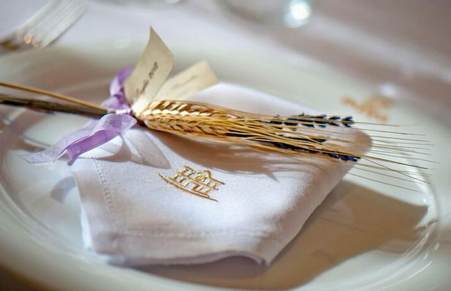 Tenuta Ippocrate - Foto 45