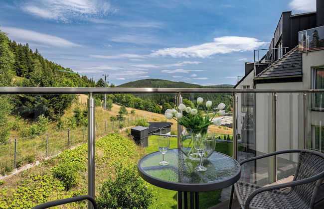 Apartamenty Sun & Snow Panorama Czarna Góra - Foto 43