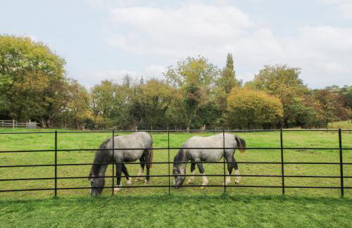 Grove Farm - Foto 69