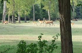 La Casina del Delta del Po - Foto 47
