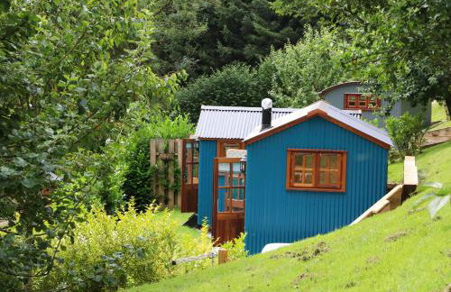 Little Silver Pheasant - Foto 7