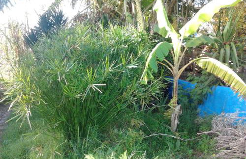 Quinta da Fornalha - Santuario Agroecologico - Foto 52