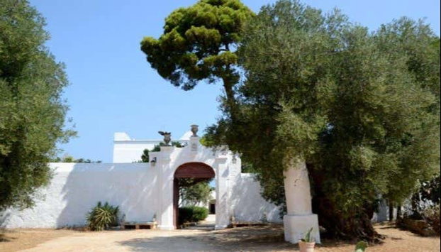 Dégustation d'huile d'olive - Photo 4, Billet pour la masseria