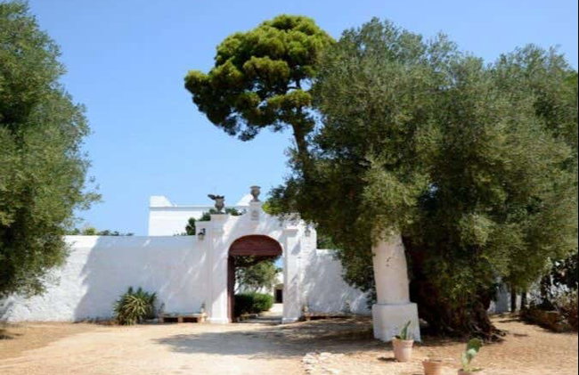 Dégustation d'huile d'olive - Photo 4