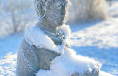 Ferienwohnung auf Pferdehof - Foto 47