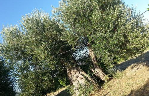 Masseria Marico - Foto 67