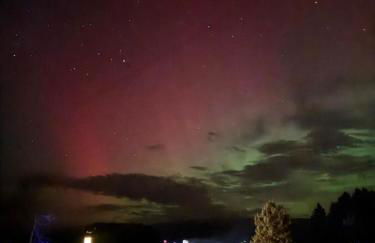 Wild Northumberland Glamping - Foto 8