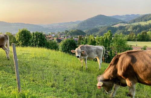 Murmelschlupf & Hummelschlupf Oberstaufen/Steibis - Foto 6