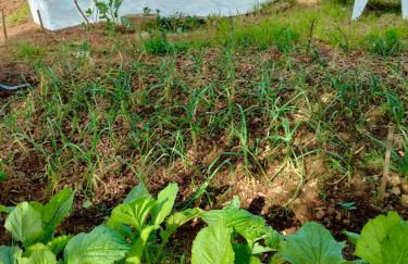 Casa do Chaparral campo e praia - Foto 42