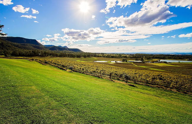 Audrey Wilkinson Vineyard - Foto 30