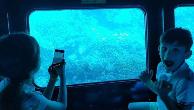 Fotografiando los fondos marinos del Mar Rojo