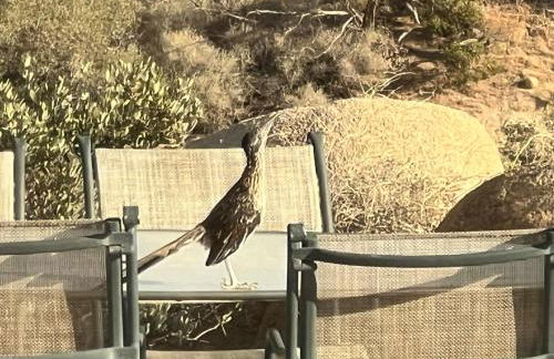 Mountainside Retreat - Foto 23