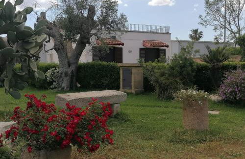 Villa in a lovely olive grove 10 minutes from the sea Ada residence - Foto 18