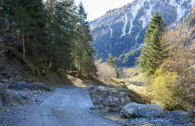 Rustico Stübii - Foto 18