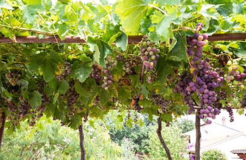 House Eufemia - Foto 23