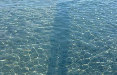 La Babbaiola di Torre delle Stelle - Foto 32