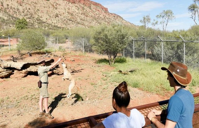 Tour "A Town like Alice" y Alice Springs Desert Park de día completo - Foto 11