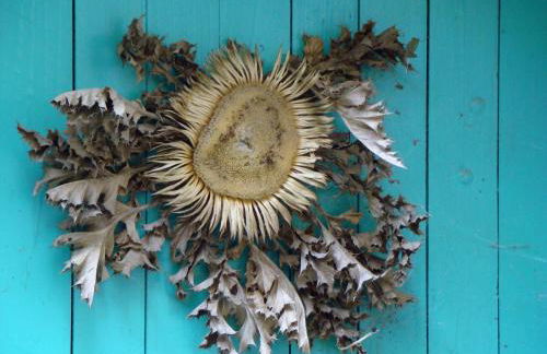 Maison Les Chênes - Jacuzzi - Calme & Idéalement situé - Clim - Salle de Jeux - Parking - Foto 31