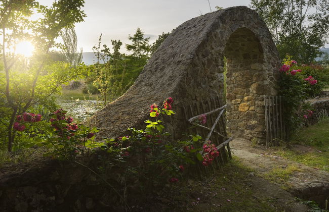 Vaquería Canta el Gallo - Photo 45
