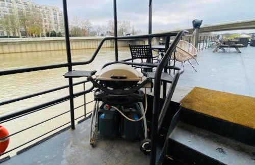 Grande péniche 4 ch - 10 pers -Paris - Ile de Puteaux- terrasses - Foto 31