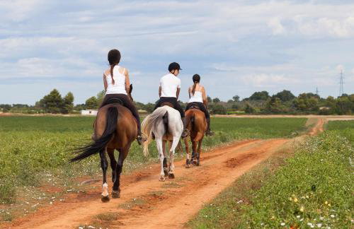 Seaside Villa - App 2 - Foto 13