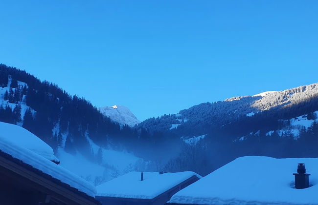 Chalet Lenk Dänk App. 6 - Foto 6