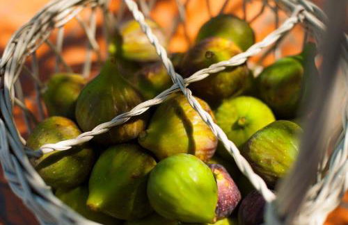 Penelope Dream Pool Villa - Foto 78